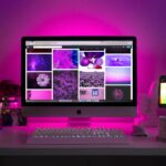Why SSL Matters for Your Hosting