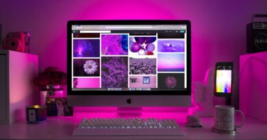 What is Dedicated Server Hosting?